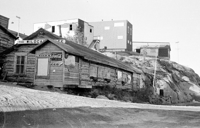 Busse_NWT-Archives_N-1979-052-4775-Ykonline