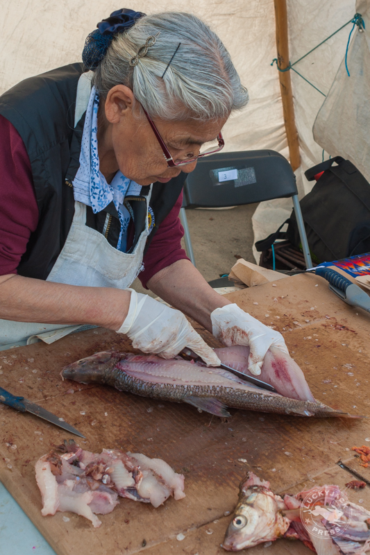 A Dene Elder demonstrates how to fillet a whitefish to prep it for drying.